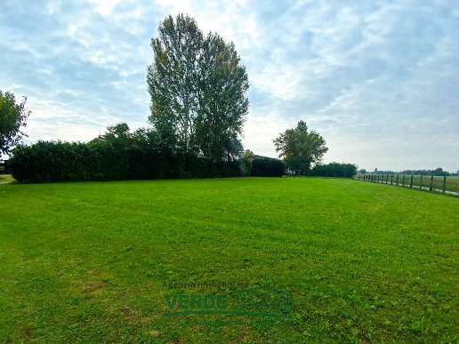immagine annuncio 3 di 14