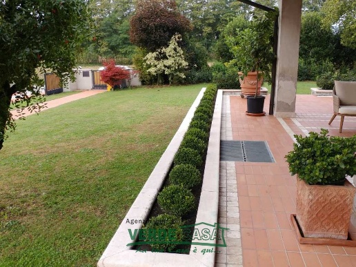immagine annuncio 10 di 14