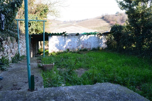 immagine annuncio 6 di 8