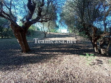 Foto Case semi ndipendenti a Pesaro di 150 m² con 4 locali in vendita