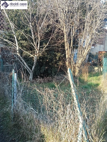 immagine annuncio 6 di 7