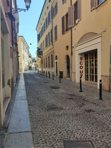 immagine annuncio 1 di 14