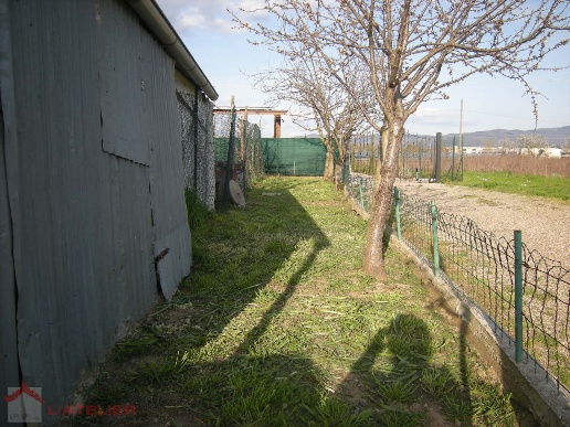 immagine annuncio 7 di 8