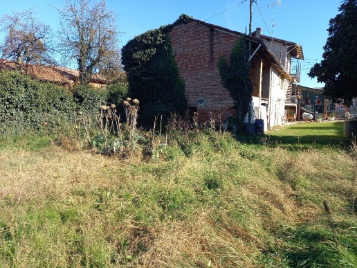 immagine annuncio 3 di 6