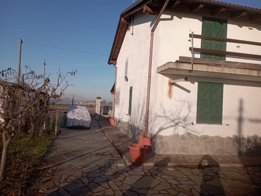 immagine annuncio 3 di 13