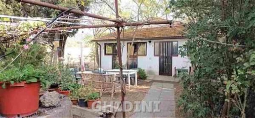 Foto Case indipendenti a Grosseto di 55 m² con 2 locali in affitto