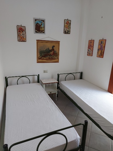 immagine annuncio 4 di 9