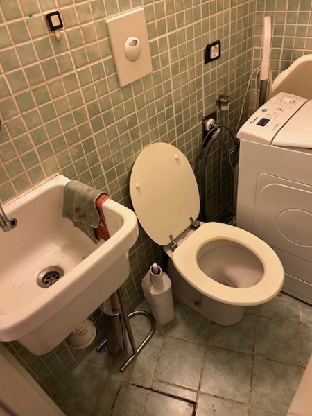 immagine annuncio 12 di 13