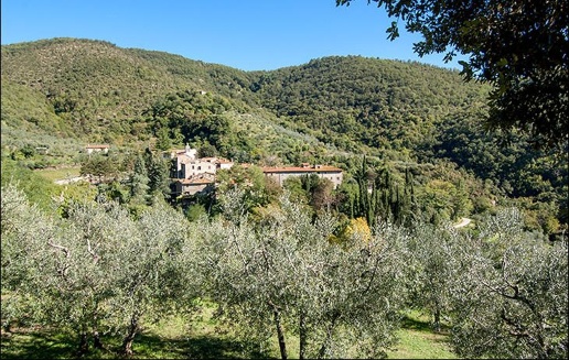 immagine annuncio 2 di 7