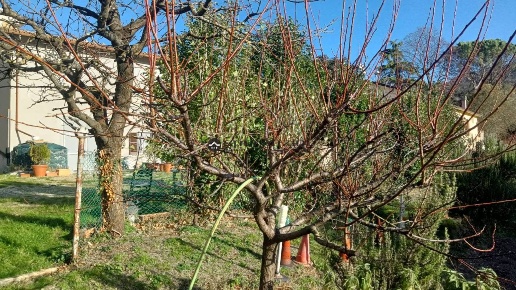 immagine annuncio 6 di 12