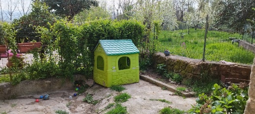 immagine annuncio 1 di 10