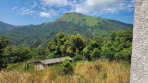 immagine annuncio 10 di 14