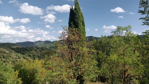 immagine annuncio 6 di 13