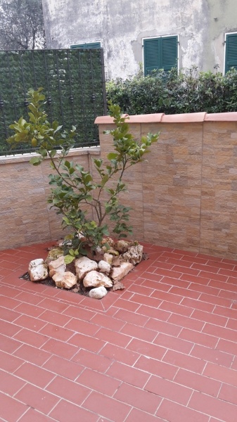 immagine annuncio 5 di 7