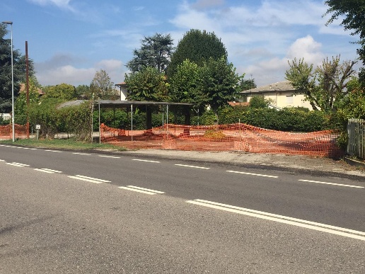 immagine annuncio 1 di 14