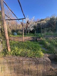 Foto Casa indipendente a Massarosa Massarosa Paese di 80 m² con 4 locali