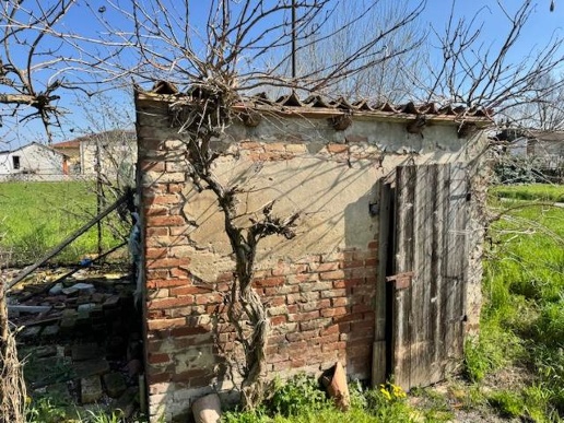 immagine annuncio 8 di 14