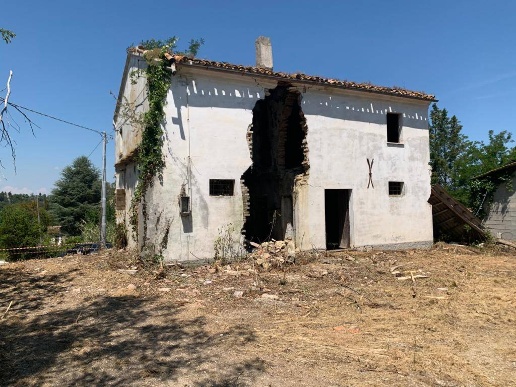 immagine annuncio 4 di 12