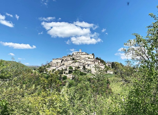 immagine annuncio 11 di 13