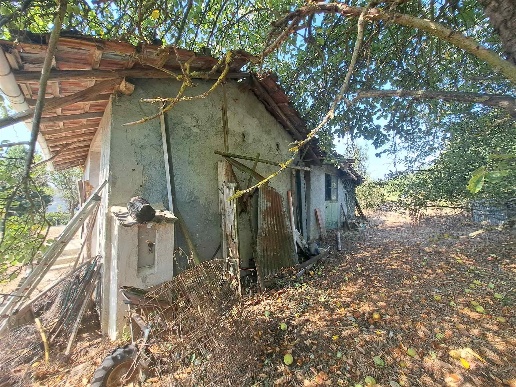immagine annuncio 5 di 12
