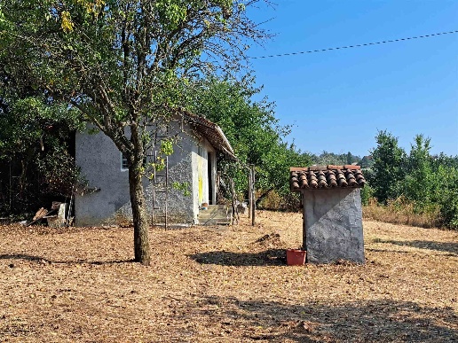 immagine annuncio 9 di 12