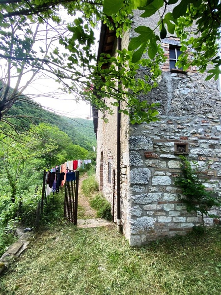 immagine annuncio 9 di 14