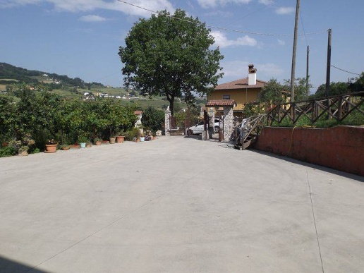 immagine annuncio 3 di 12