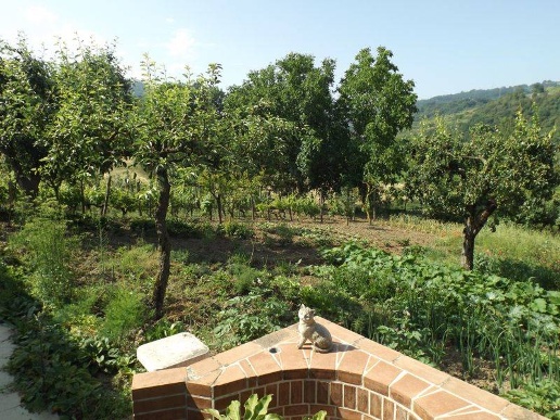 immagine annuncio 4 di 12