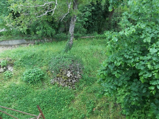 immagine annuncio 6 di 8
