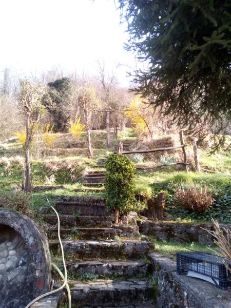 immagine annuncio 4 di 15