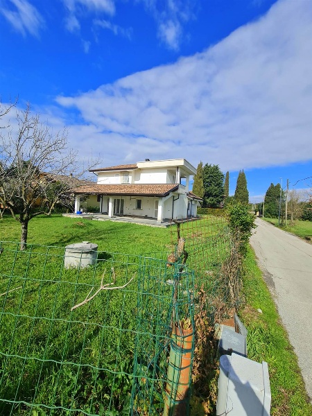 immagine annuncio 2 di 4