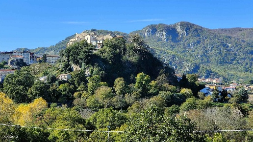 immagine annuncio 6 di 14