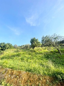 Foto Case semi ndipendenti a Massarosa Massarosa Paese di 110 m² in vendita