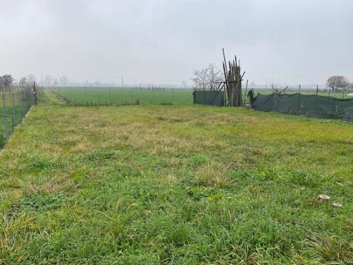 immagine annuncio 3 di 9