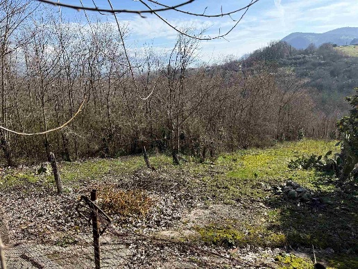 immagine annuncio 4 di 6