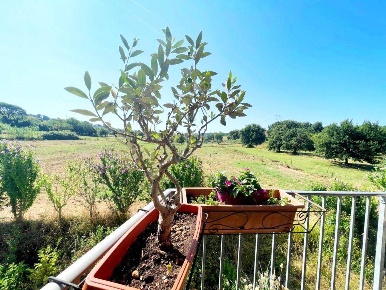 Foto Casa indipendente in via Pesciatina, Pescia Veneri di 93 m² in vendita