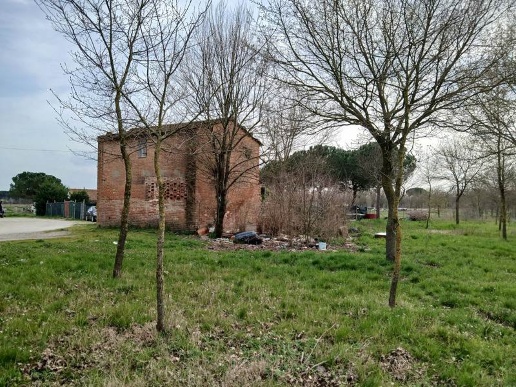 immagine annuncio 6 di 8