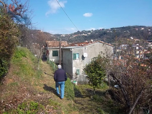 immagine annuncio 3 di 13