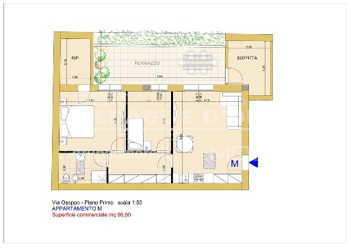 immagine annuncio 6 di 8