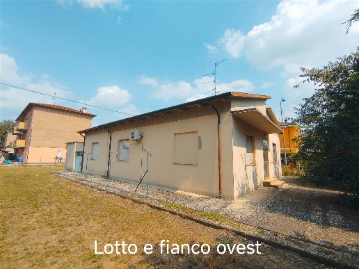 immagine annuncio 12 di 14