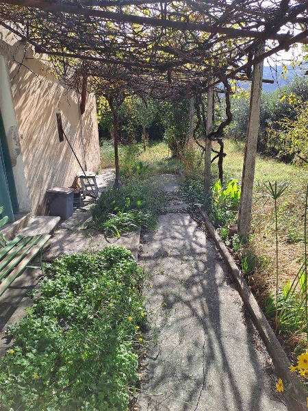 immagine annuncio 2 di 12