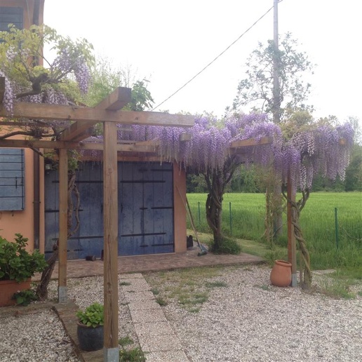immagine annuncio 6 di 7