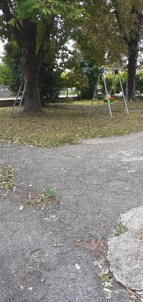 immagine annuncio 1 di 6