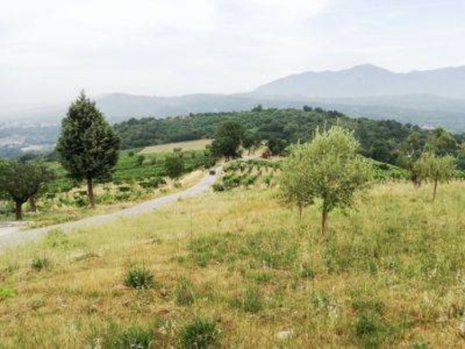 immagine annuncio 1 di 2