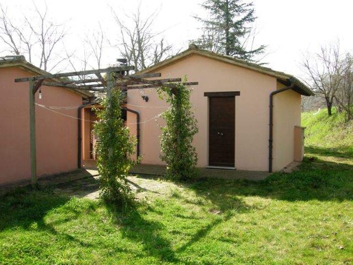 immagine annuncio 5 di 12