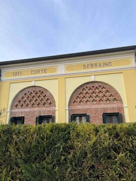 immagine annuncio 9 di 11