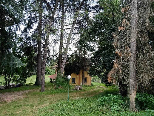 immagine annuncio 9 di 14