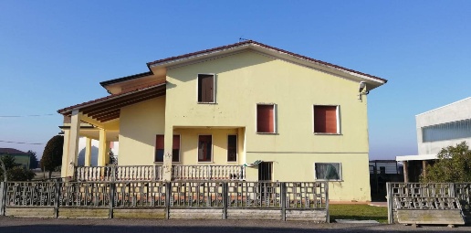 immagine annuncio 2 di 14