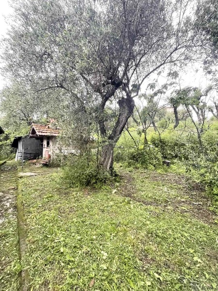 immagine annuncio 2 di 14