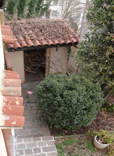 immagine annuncio 5 di 12